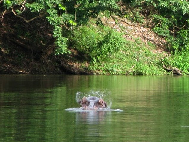 Outamba-kilimi national park Kamakwie Sierra Leone Travel Sharing