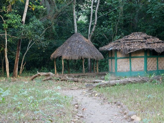 Outamba-kilimi national park Kamakwie Sierra Leone Trip Experience