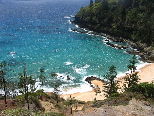 Norfolk Island pine tree tours Kingston Trip Guide