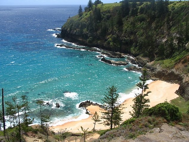 Norfolk Island pine tree tours Kingston Holiday Tips