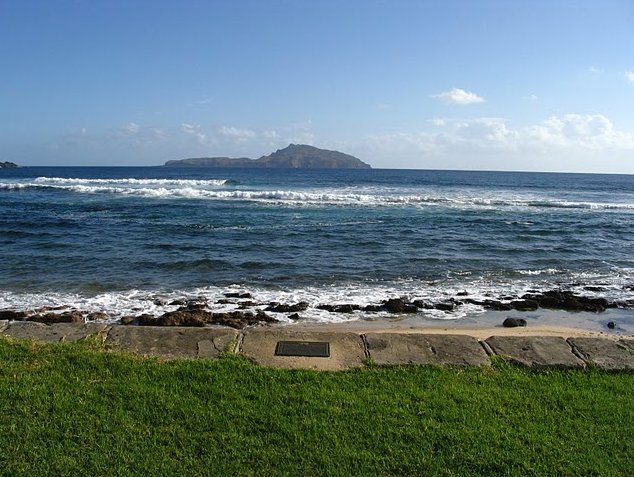 Norfolk Island pine tree tours Kingston Travel Sharing