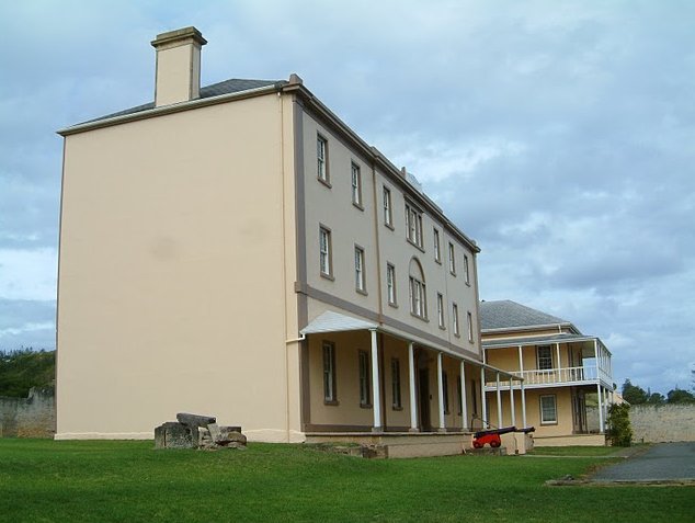 Norfolk Island pine tree tours Kingston Trip Picture