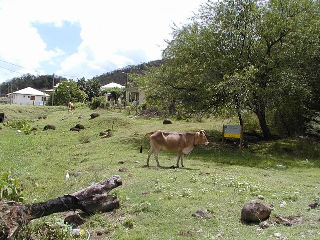 Guadeloupe Island Pictures Basse Terre Trip Sharing