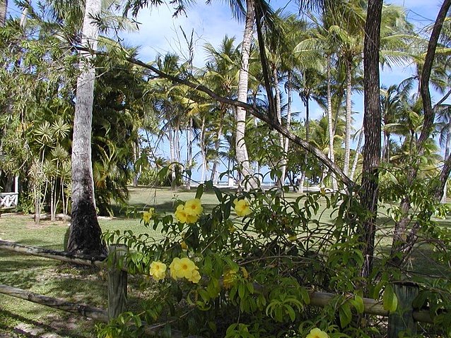   Basse Terre Guadeloupe Diary Photos