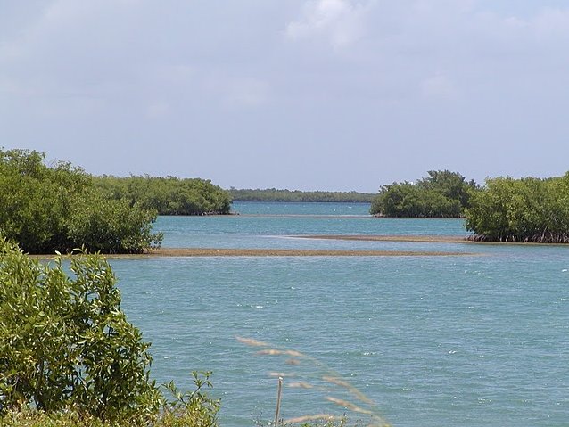 Photo Guadeloupe Island Pictures Airport