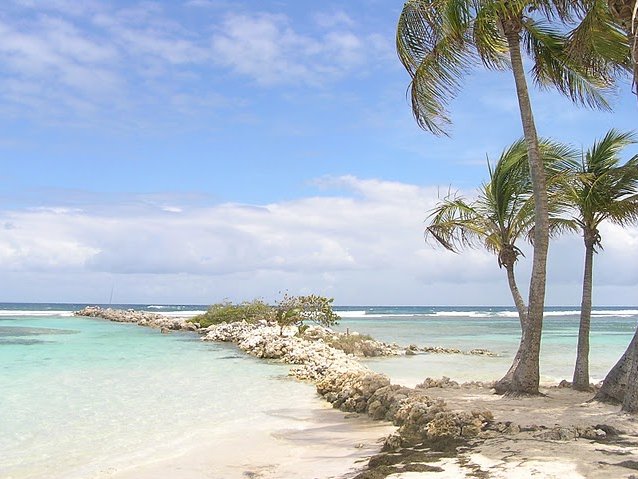 Guadeloupe Island Pictures Basse Terre Travel Adventure