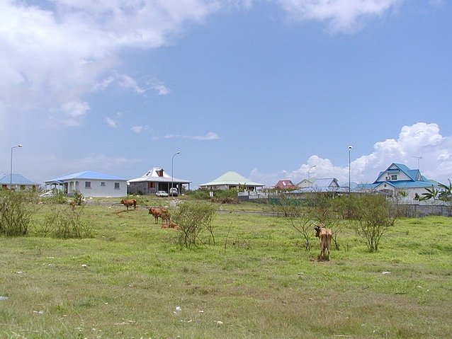 Photo Guadeloupe Island Pictures connected
