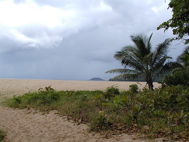 Photo Guadeloupe Island Pictures domestic