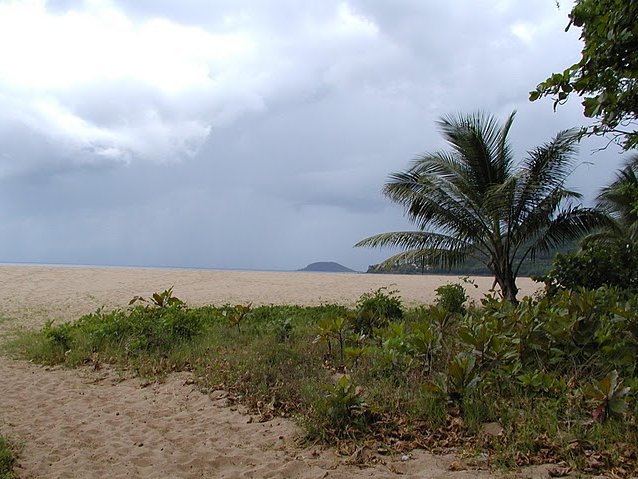   Basse Terre Guadeloupe Blog Information