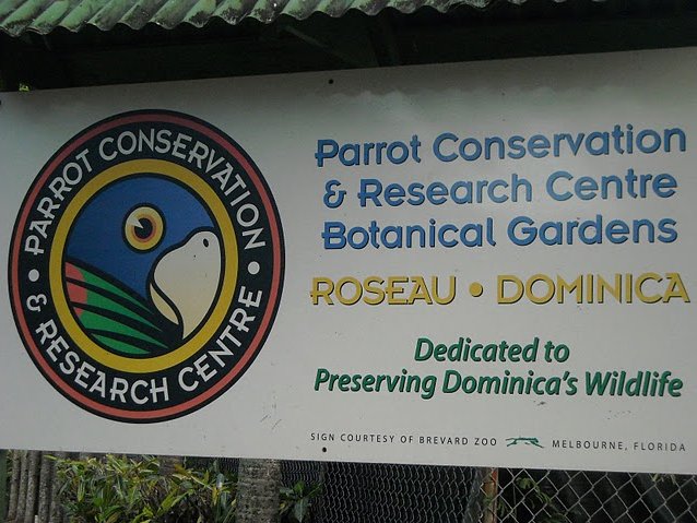 Roseau Dominica Botanical Gardens Review Gallery