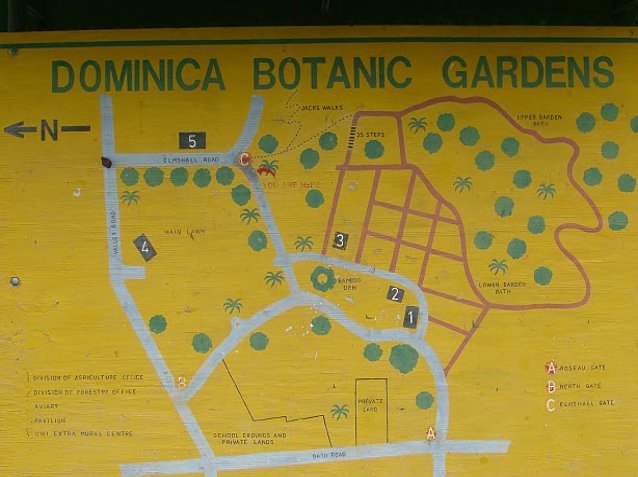 Roseau Dominica Botanical Gardens Vacation Picture