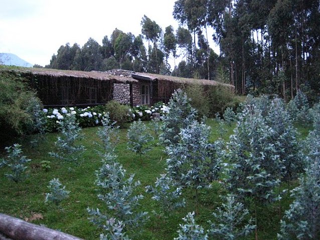 Rwanda Volcanoes National Park Ruhengeri Diary Photography