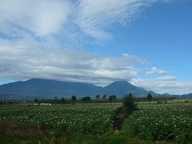 Photo Rwanda Volcanoes National Park habitat