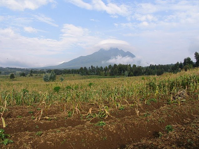 Rwanda Volcanoes National Park Ruhengeri Travel Photographs