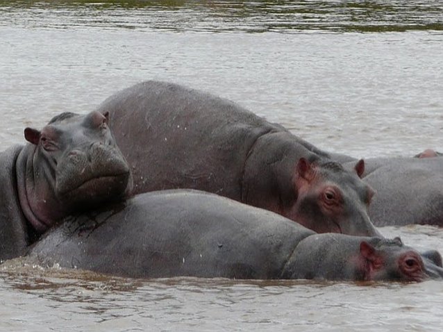 Rusizi National Park Bujumbura Burundi Blog Adventure