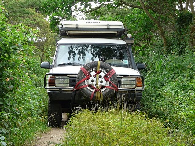 Photo Rusizi National Park wildlife