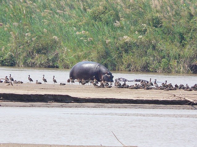 Photo Rusizi National Park August