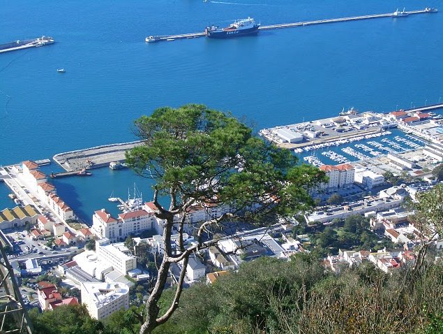 Rock of Gibraltar monkeys Travel Blog