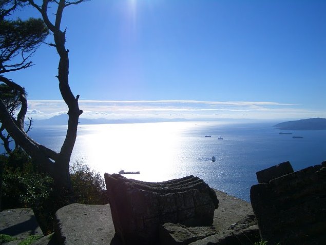 Rock of Gibraltar monkeys Vacation Adventure