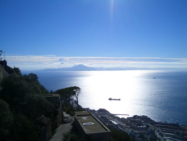 Rock of Gibraltar monkeys Picture gallery