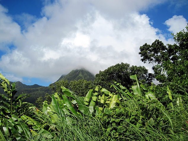   Fort-de-France Martinique Travel Package