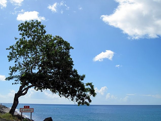   Fort-de-France Martinique Trip Photos