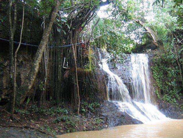 Photo Saint Lucia island pictures nature