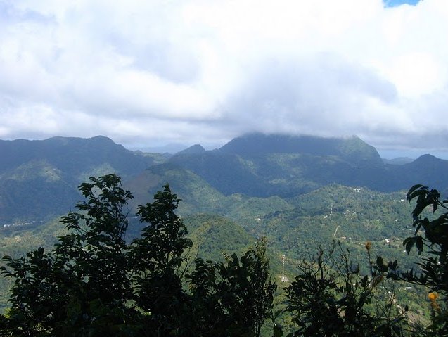 Photo Saint Lucia island pictures plantations