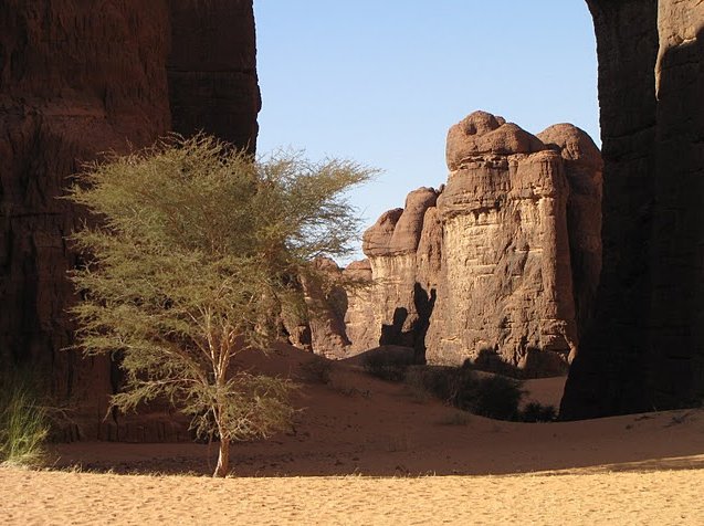 Ennedi Desert Safari in Chad Review Sharing
