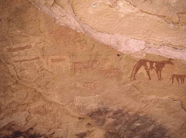 Photo Ennedi Desert Safari in Chad animals