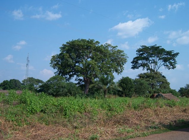   Bangui Central African Republic Blog Photos