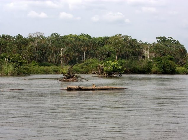 Pictures of Odzala National Park Ewo Republic of the Congo Review Picture