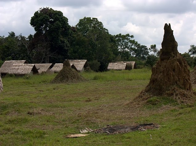 Pictures of Odzala National Park Ewo Republic of the Congo Blog Experience