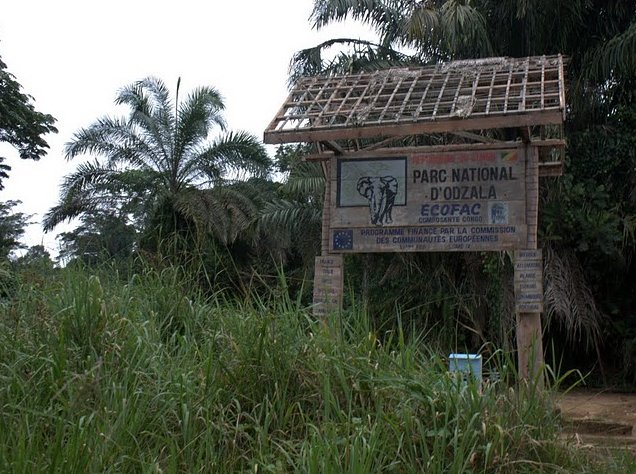 Pictures of Odzala National Park Ewo Republic of the Congo Review Sharing