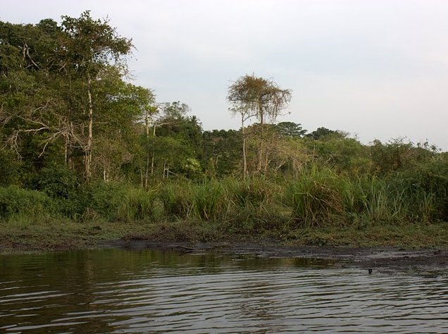 Pictures of Odzala National Park Ewo Republic of the Congo Vacation Photo