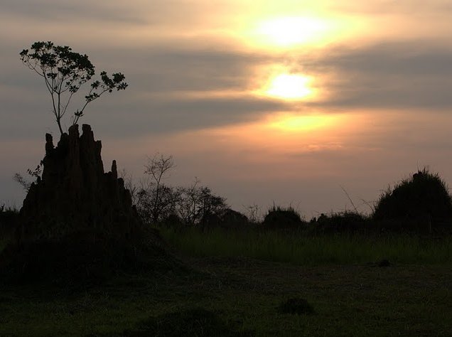 Pictures of Odzala National Park Ewo Republic of the Congo Holiday Sharing