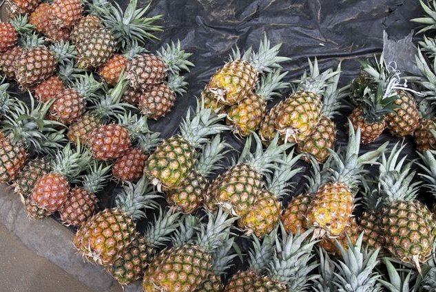 Photo The capitals of Cote d'Ivoire Catholic