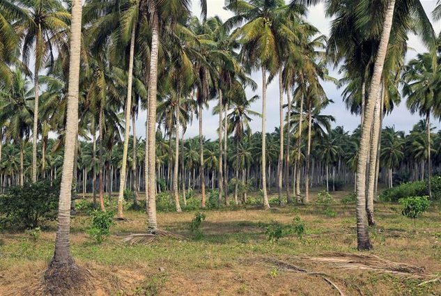 The capitals of Cote d'Ivoire Abidjan Vacation Photo