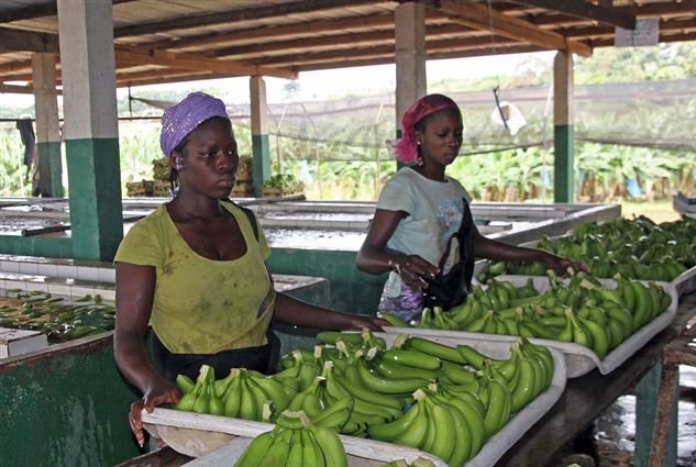 Photo The capitals of Cote d'Ivoire townships