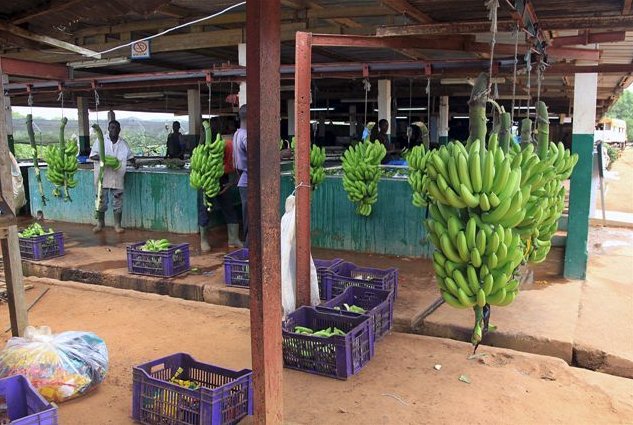 The capitals of Cote d'Ivoire Abidjan Holiday Sharing