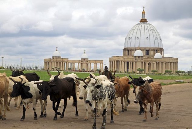 Photo The capitals of Cote d'Ivoire impressive