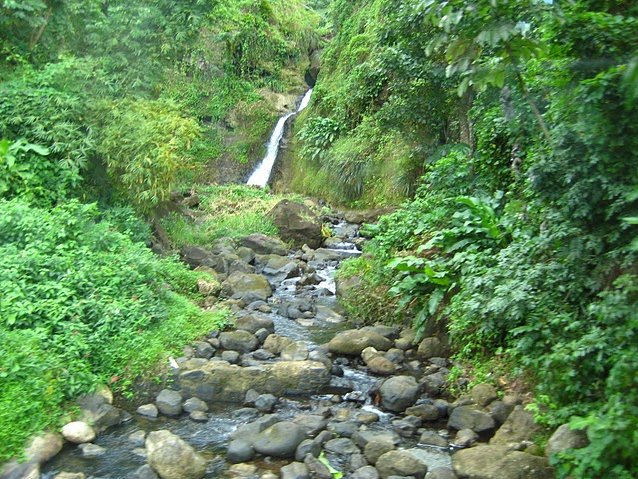 Grenada Island pictures St Georges Review Photograph