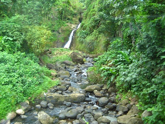 Grenada Island pictures St Georges Review Photograph