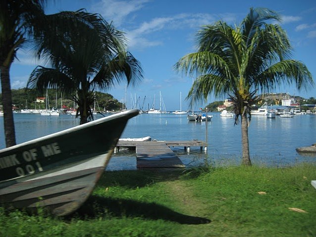 Photo Grenada Island pictures forest