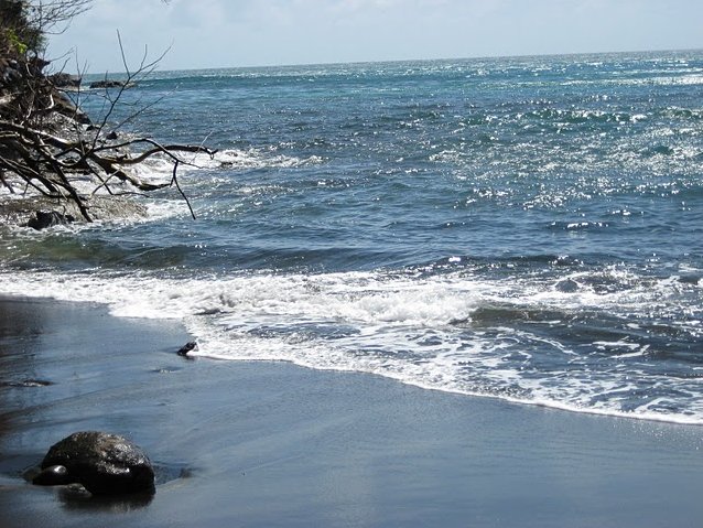 Photo Grenada Island pictures jumping