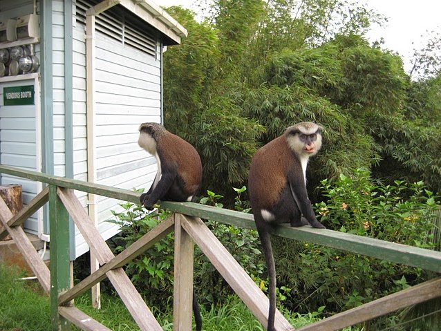   St Georges Grenada Vacation Picture