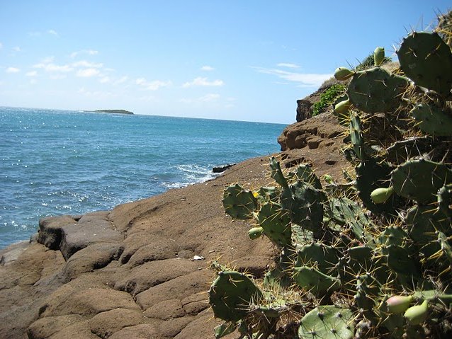 Photo Grenada Island pictures George