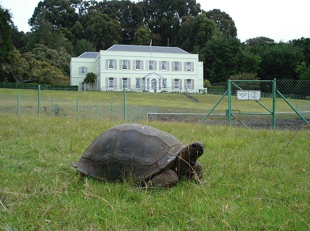 Saint Helena Island, South Atlantic Jamestown Vacation Sharing