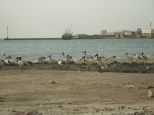 Hargeisa Somalia 