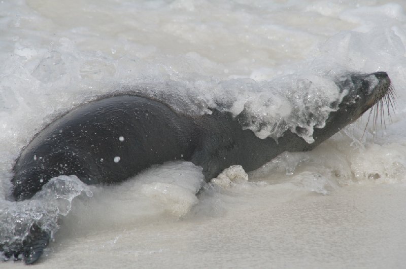 Galapagos Islands Ecuador Vacation Sharing